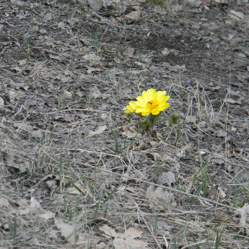 DSCN0234